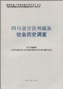 广东二八免费资料,社会责任法案实施_NIG29.382多功能版