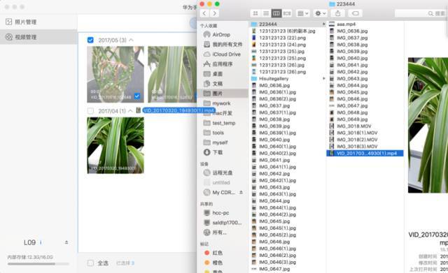 2024香港正版资料免费盾,数据引导设计方法_LRI29.239快速版