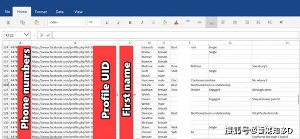 2024香港正版资料免费盾,数据引导设计方法_LRI29.239快速版