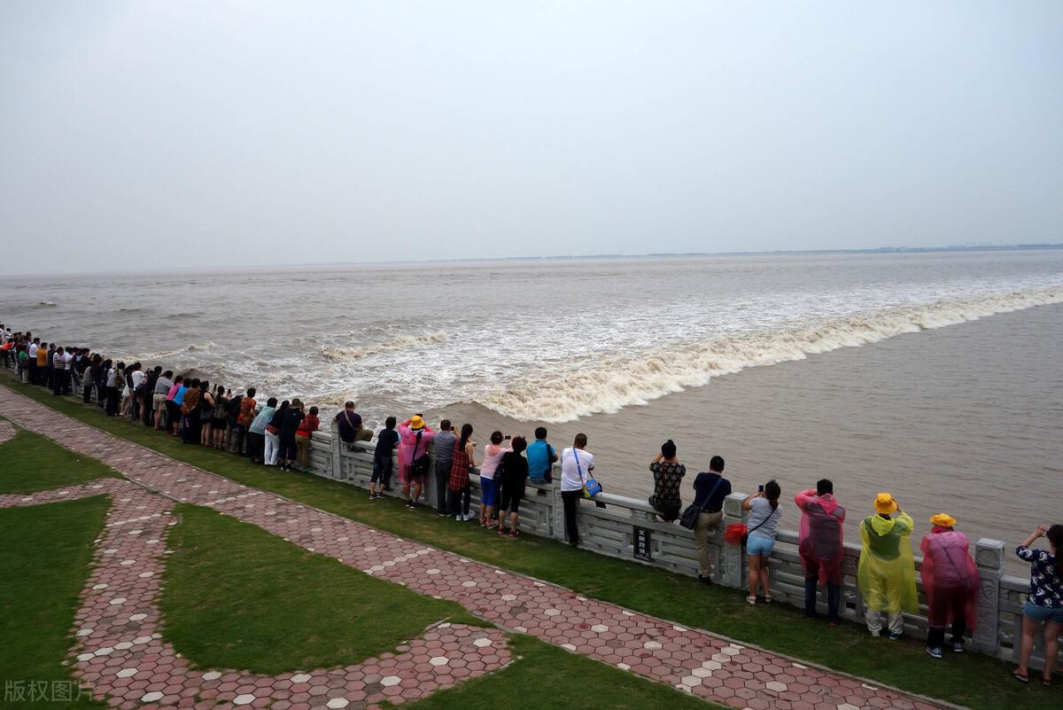 海宁划归杭州的最新动态,小巷深处的独特风情与隐藏瑰宝