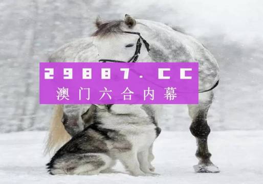 7777788888精准香港正版跑狗,精准解答方案详解_MSC50.243中级版