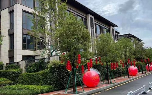 龙光城最新动态揭秘,未来蓝图揭晓!