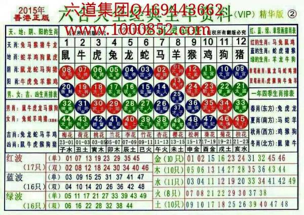 2024新版生肖恃码表49彩色澳门,数据整合解析计划_PDC50.174安静版