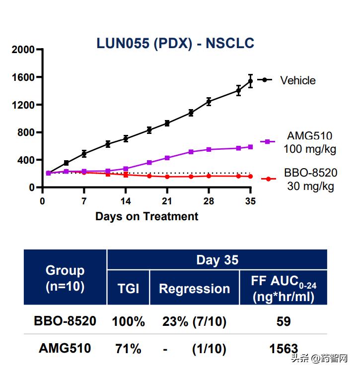新澳门2024年,解答配置方案_PDX29.218授权版