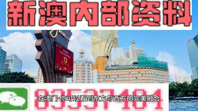 新澳2024年精准资料220期,精细化实施分析_ENJ50.523温馨版
