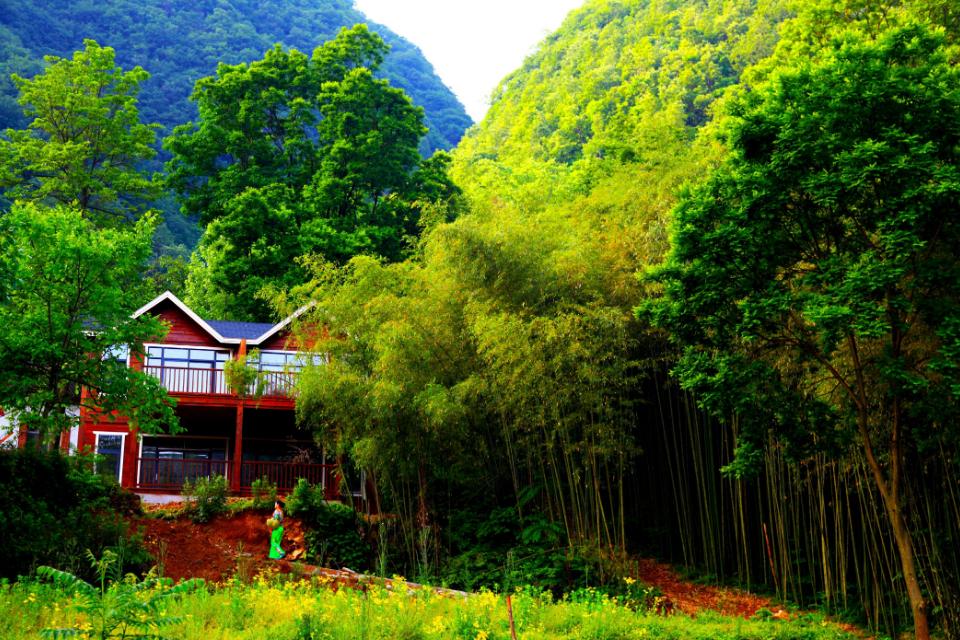 栾川今日最新天气预报及详细步骤指南