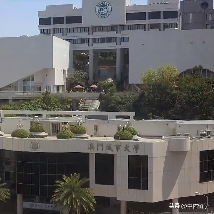 2024新澳门天天开好彩大全58,精细评估方案_AWH29.565声学版