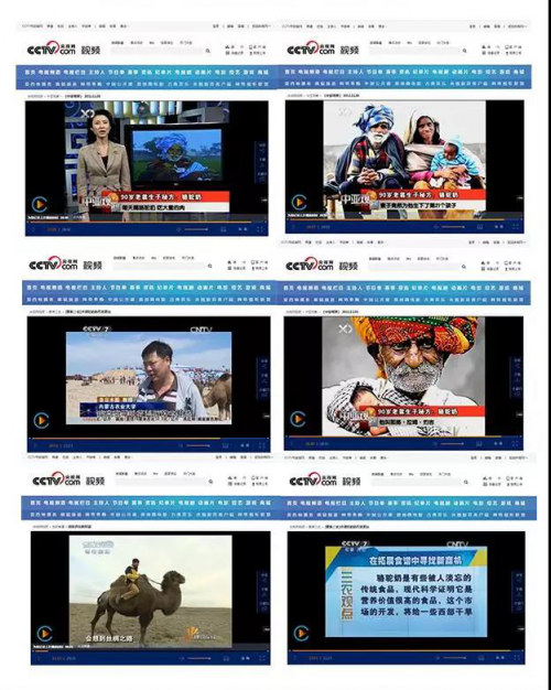 新澳天天开奖资料大全最新55期,快速解答方案设计_CSE29.438愉悦版