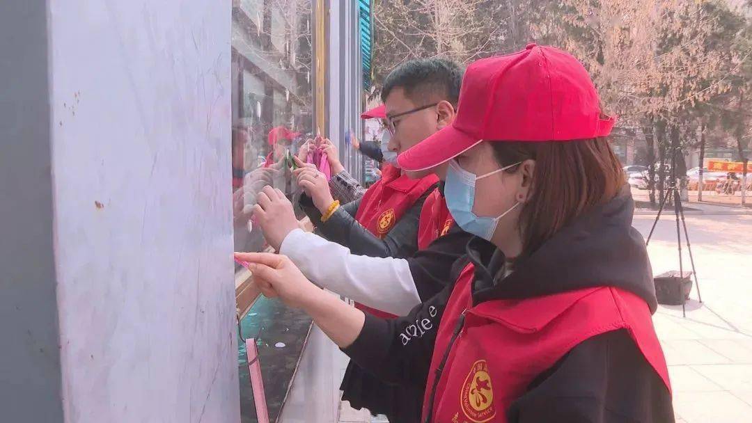 新澳天天开状资料最新资枓大全,实地应用实践解读_FYY29.507社区版