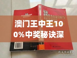 新澳门王中王100%期期中,目前现象解析描述_YNH29.322商务版