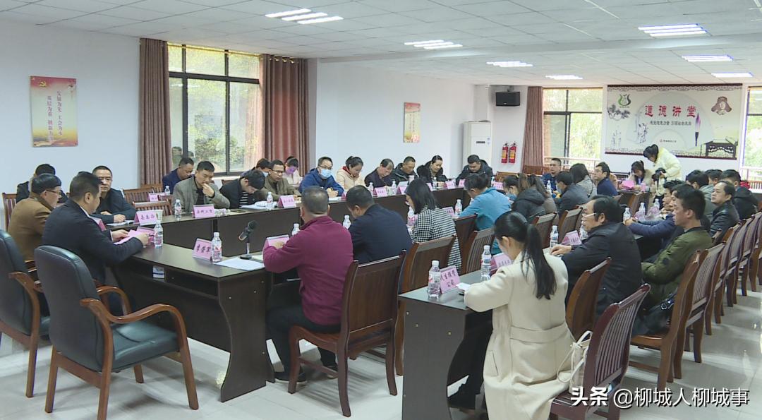 柳城最新招聘信息揭秘,巷弄深处的职业机遇