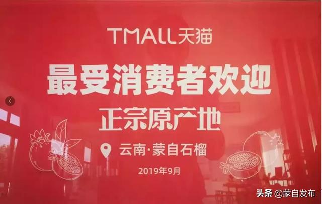 蒙自最新招聘启幕，开启学习之旅，拥抱变化，自信展现才华