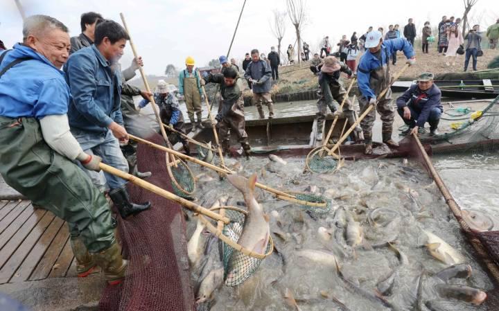 湖州德清最新车祸事件，深度分析与个人观点标题建议，湖州德清车祸事件最新进展及深度分析，个人观点与反思