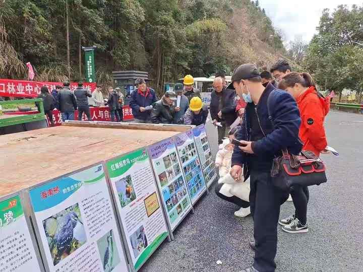 汾口最新新闻动态,小红书带你领略魅力新篇章