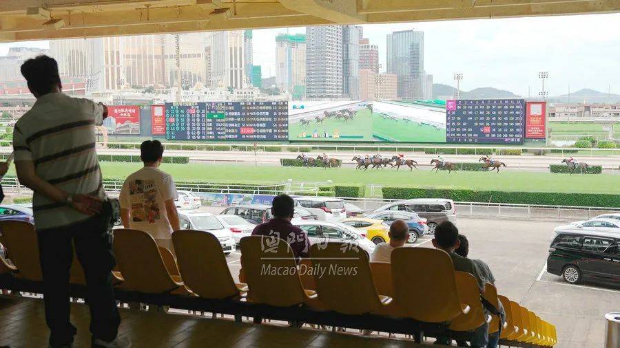 澳门特马吃料图,数据引导设计方法_PFR49.419互动版