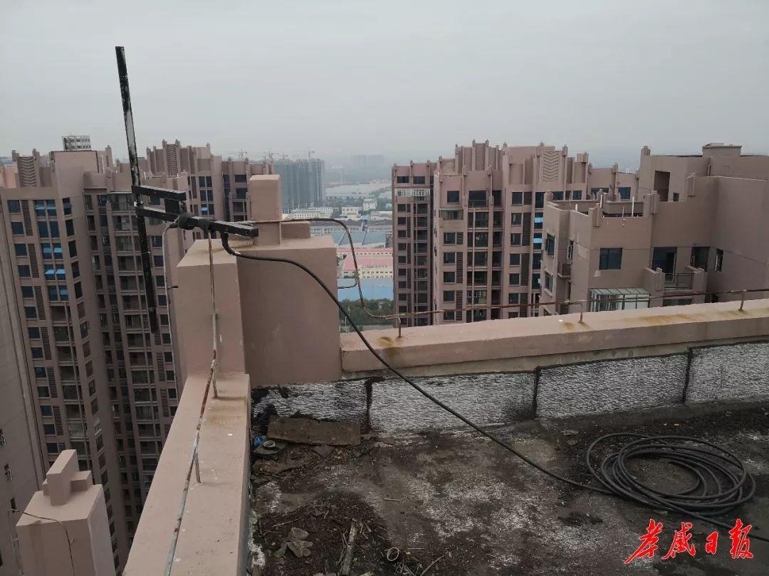 孝感东城学校最新规划揭秘🌟