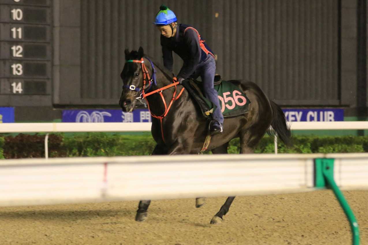 澳门特马开奖结果查询,国际中文教育_TXL49.597语音版