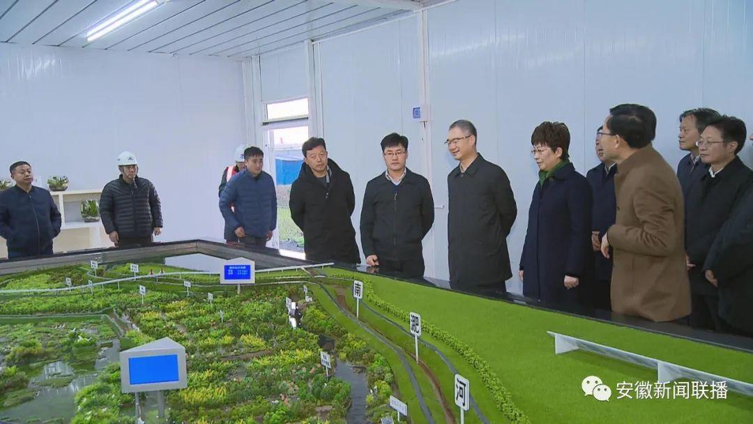 巢湖未来巷弄深处的惊喜与未来展望，最新发展动态揭秘