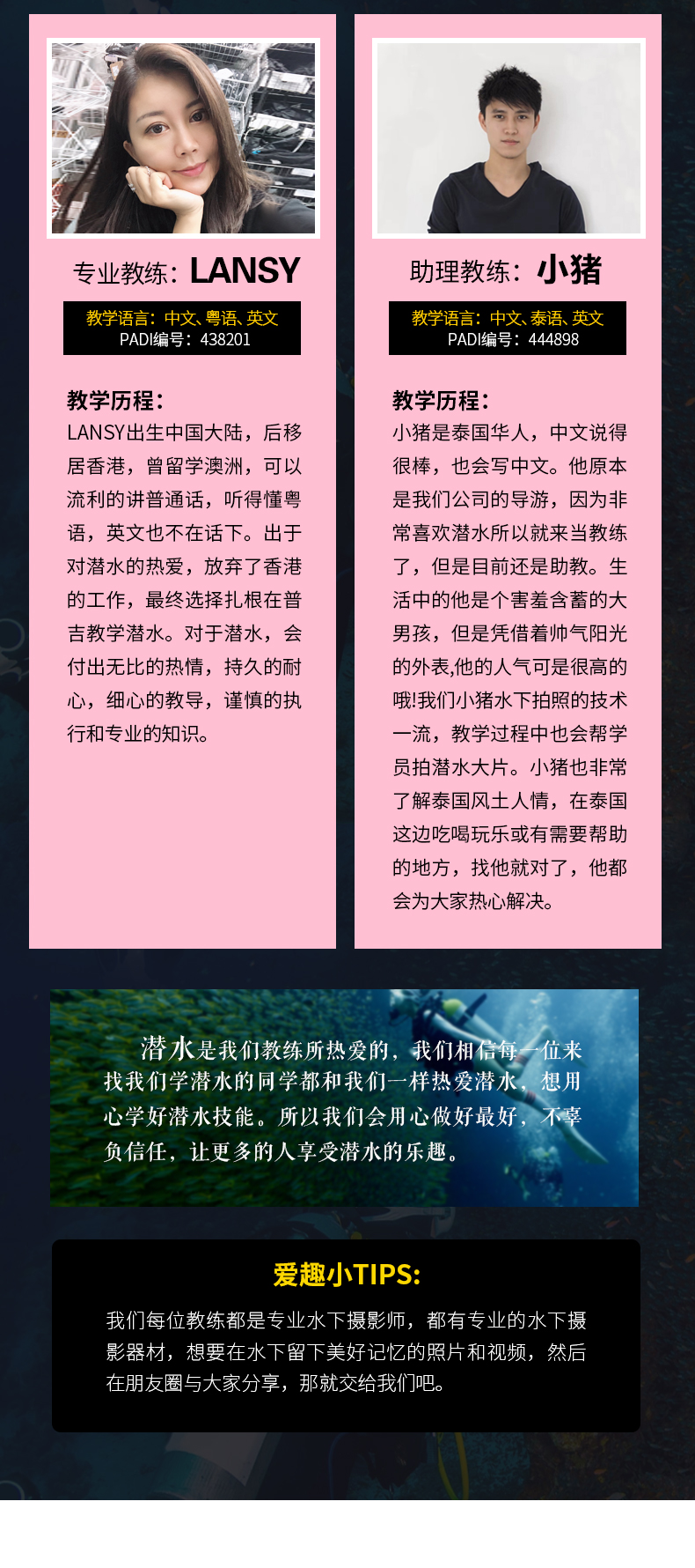 澳门跑狗,专业解读操行解决_ULH49.956家庭版