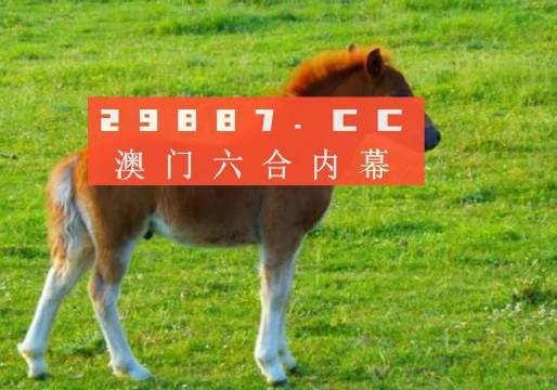 澳门一肖必中特一肖必中,详情执行数据安援_ULD49.266未来科技版