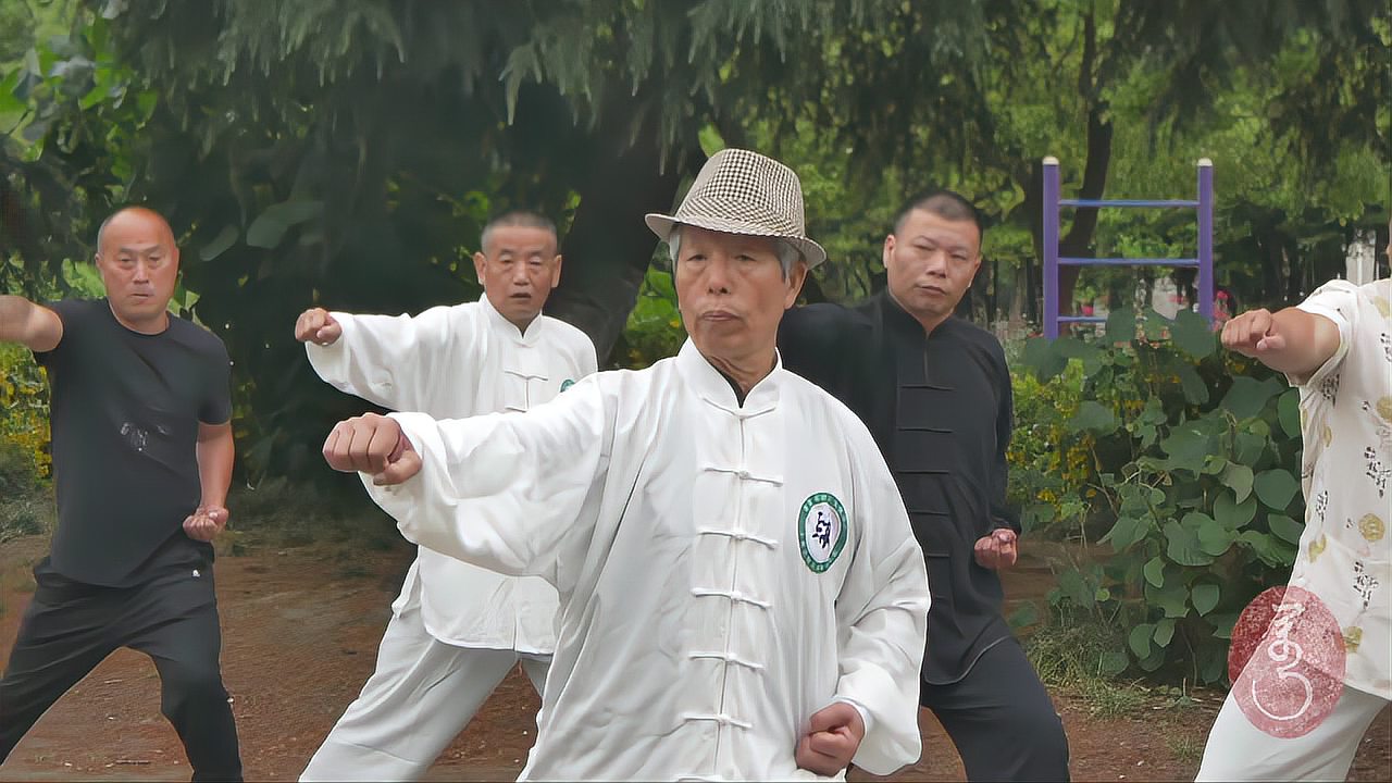 绵张拳最新视频，小巷深处的武术秘境探索