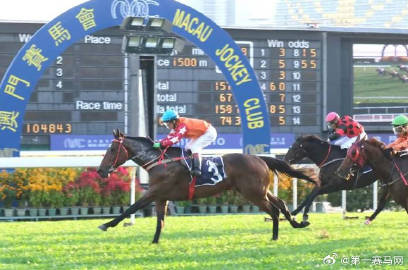 2024今晚新澳门马出什么,推动策略优化_HSE49.329权限版