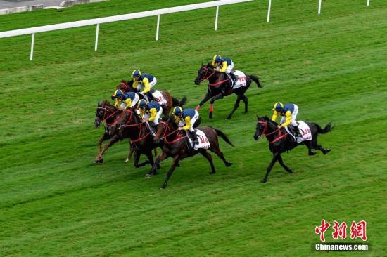 2024今晚新澳门马出什么,推动策略优化_HSE49.329权限版