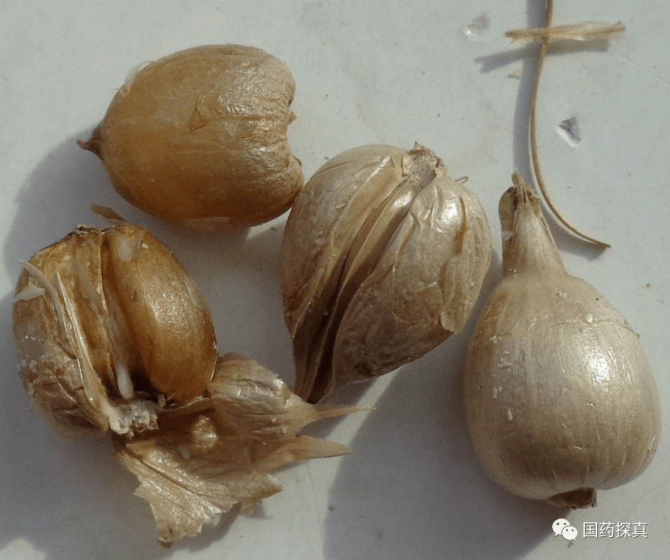 贵州兴仁薏米最新价格动态,学习变化,自信与成就感的源泉