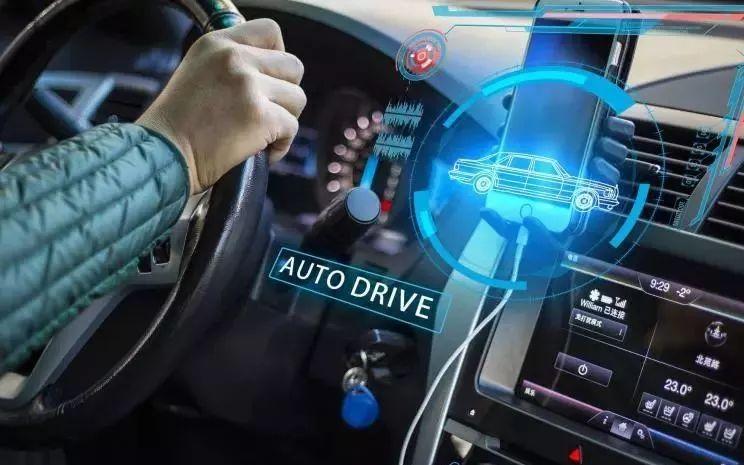 2024年韩国最新悬疑电影，小巷深处的秘密故事揭秘