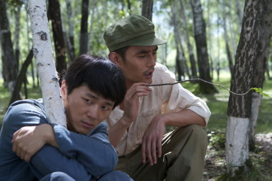 最新知青题材电视剧，回顾与探讨之路