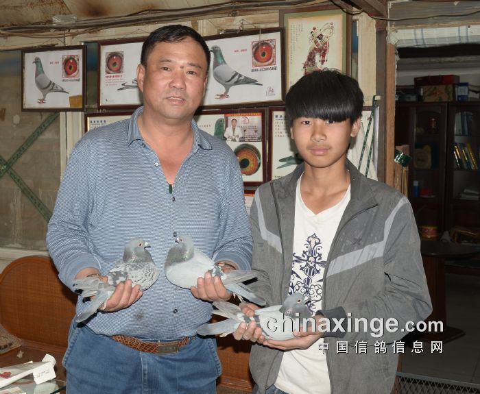 搜鸽网李永生最新视频文章概览，内容精彩抢先看！