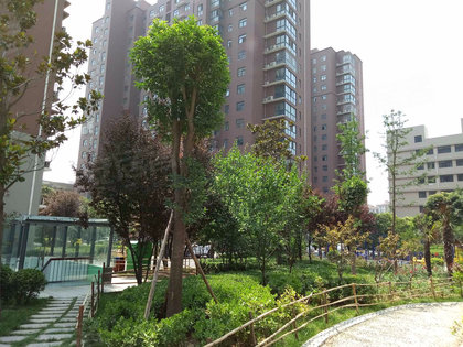 郑州国瑞静香园，城市崭新地标，引领生活新风尚