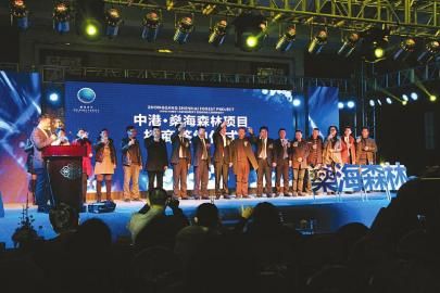 燊海森林迎来新篇章,城市绿色明珠的最新动态