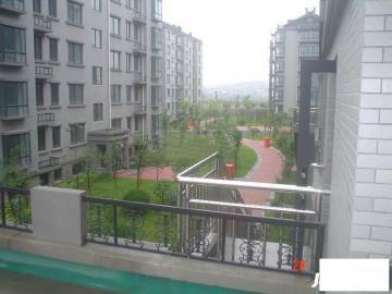 南阳书林苑最新动态，知识的海洋，成就梦想的起点