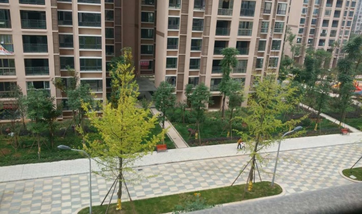 资阳泓城水韵最新动态，变化中的力量与自信成长旋律