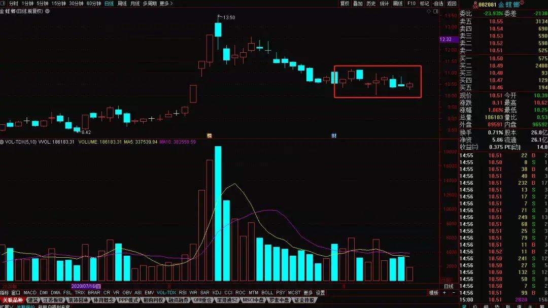 金螳螂最新动态深度解析,最新消息与观点探讨