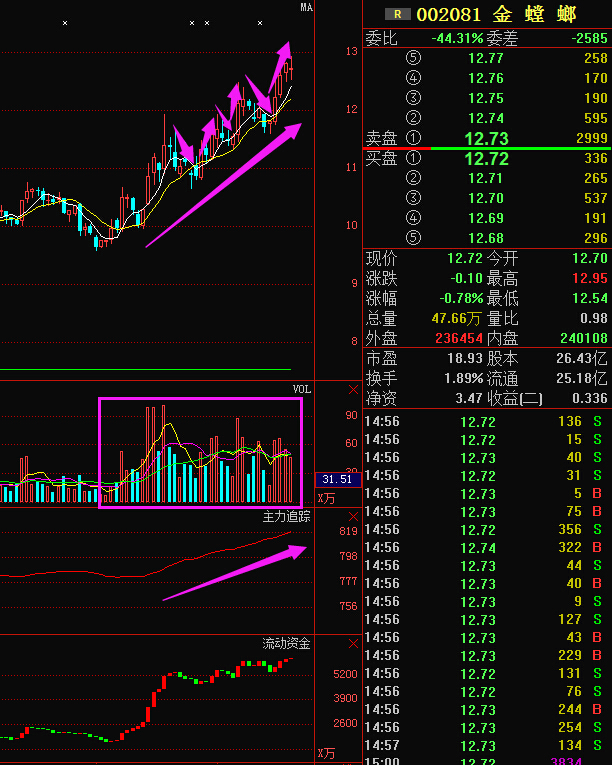 金螳螂最新动态深度解析,最新消息与观点探讨