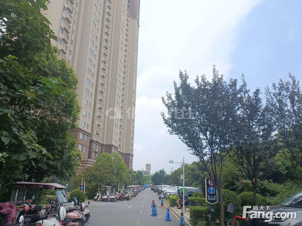 圣域蓝湾最新动态,乘风破浪,启航未来的学习之旅