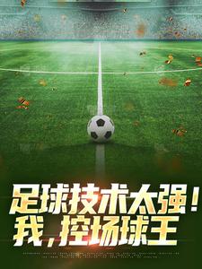 大明新球长最新章节，小巷奇遇揭秘时刻