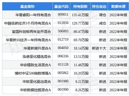 东方红睿阳最新净值，时代印记与金融领域的独特地位揭秘