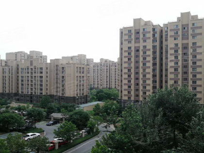 涉县龙山华府最新动态揭秘，小巷深处的独特风情