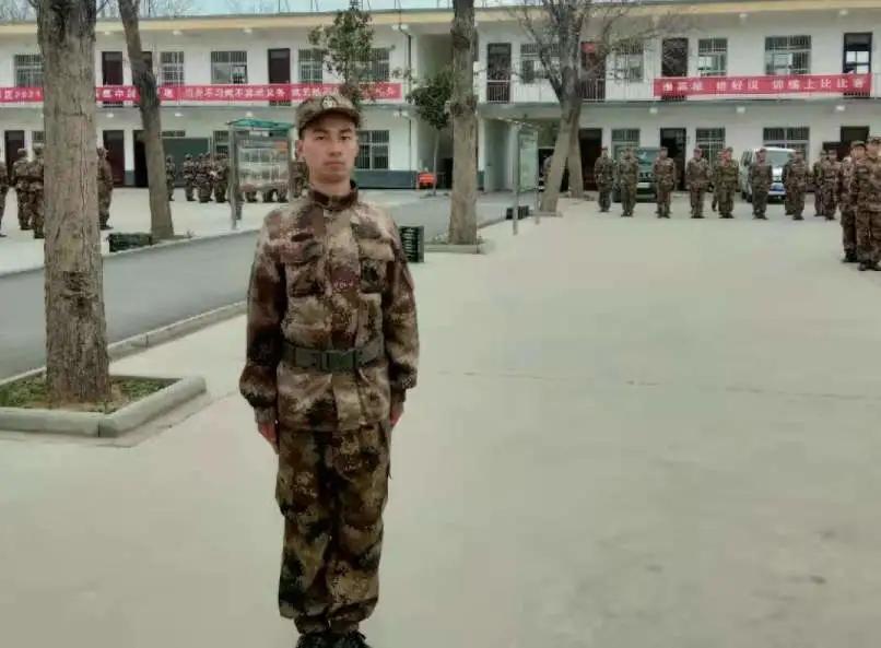 河南高考改革最新动态,深度解读未来趋势!