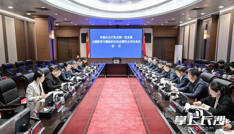 长沙县委常委名单最新解读与观点阐述