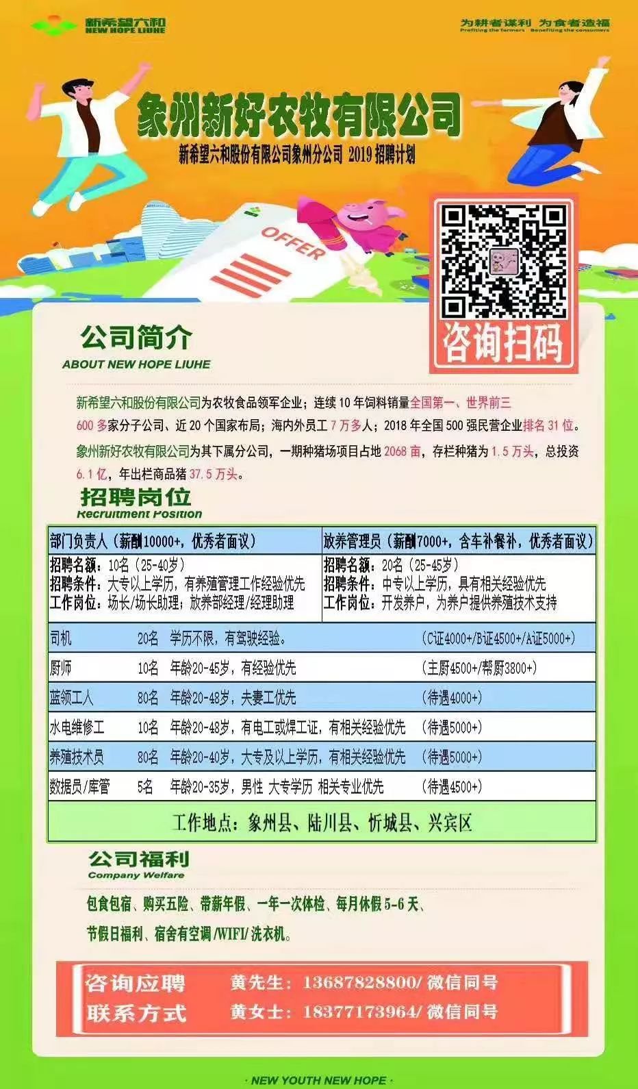 粤西农批最新招聘消息，职业发展的新机遇探索