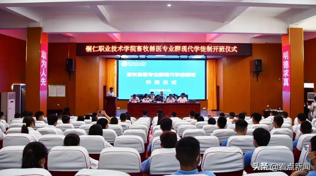 铜仁人才网最新招聘信息,小巷深处的特色小店等你来探索!