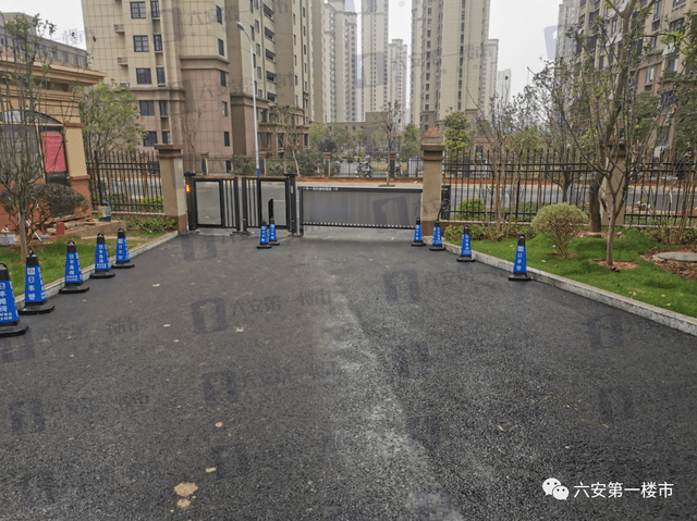 六安皋城王府最新论坛,变化中的学习,自信与成就的力量探讨