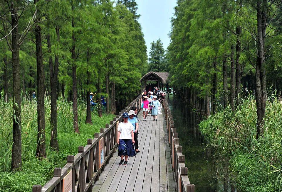 雁青黄河大桥最新动态,奇遇与深厚友情的交织