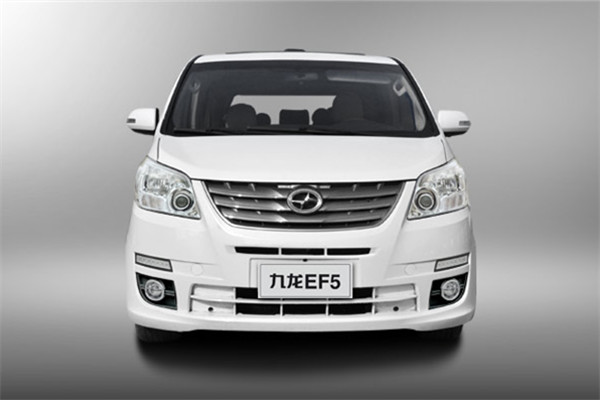 九龙艾菲最新动态,温馨日常中的爱与陪伴