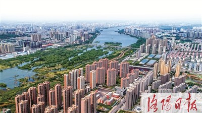 洛阳自贸区最新进展揭秘，日常温馨故事中的新里程碑