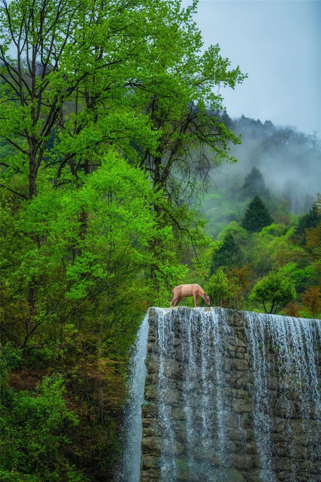 关于必发365最新登陆网址的科普讨论与犯罪问题探讨